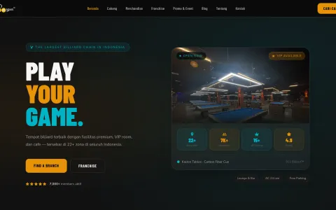Website 911billiard